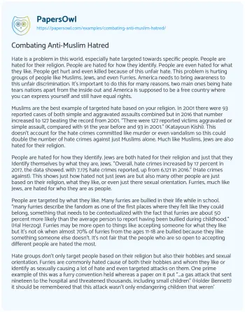 Essay on Combating Anti-Muslim Hatred