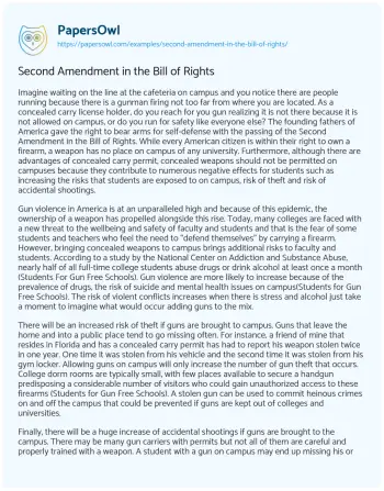 Essay on Second Amendment in the Bill of Rights