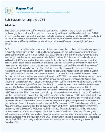 Essay on Self Esteem Among the LGBT