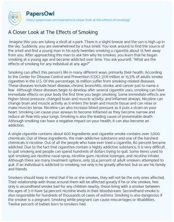 Essay on A Closer Look at the Effects of Smoking