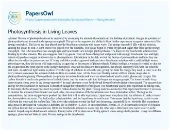 Essay on Photosynthesis in Living Leaves