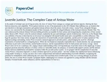 Essay on Juvenile Justice: the Complex Case of Anissa Weier