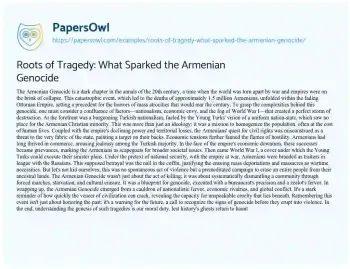 Essay on Roots of Tragedy: what Sparked the Armenian Genocide