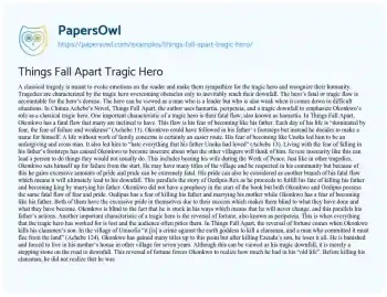 Essay on Things Fall Apart Tragic Hero