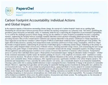 Essay on Carbon Footprint Accountability: Individual Actions and Global Impact