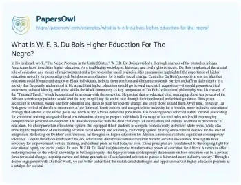 Essay on What is W. E. B. Du Bois Higher Education for the Negro?