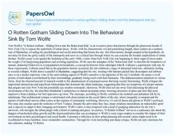 Essay on O Rotten Gotham Sliding down into the Behavioral Sink by Tom Wolfe