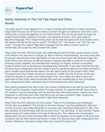 Essay on Gothic Elements in the Tell Tale Heart and other Novels