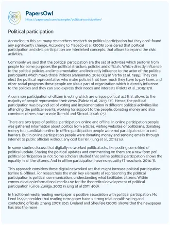 Essay on Political Participation