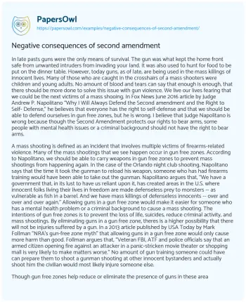 Essay on Negative Consequences of Second Amendment