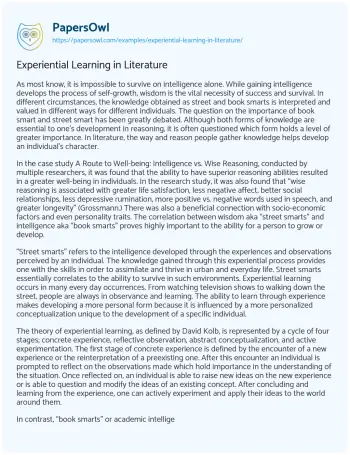 Essay on Experiential Learning in Literature