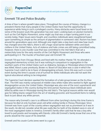 Essay on Emmett Till and Police Brutality