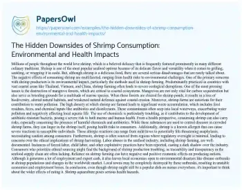 Essay on The Hidden Downsides of Shrimp Consumption: Environmental and Health Impacts