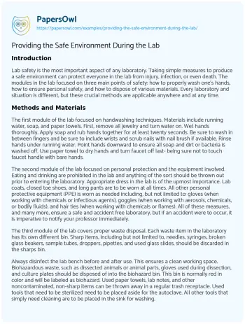 Essay on Providing the Safe Environment during the Lab