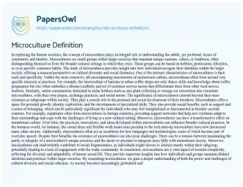 Essay on Microculture Definition