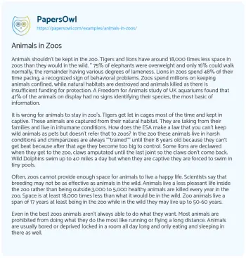 Essay on Animals in Zoos