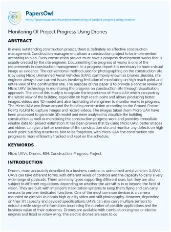 Essay on Monitoring of Project Progress Using Drones