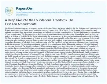 Essay on A Deep Dive into the Foundational Freedoms: the First Ten Amendments