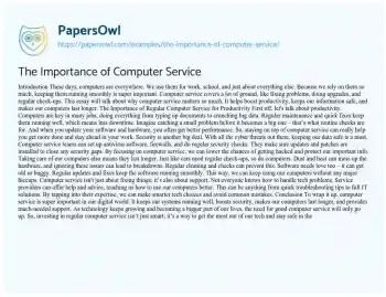 Essay on The Importance of Computer Service