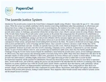 Essay on The Juvenile Justice System