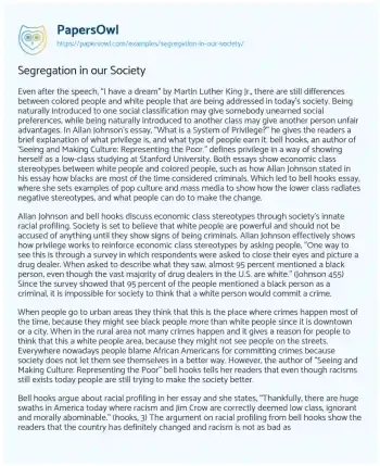 Essay on Segregation in our Society