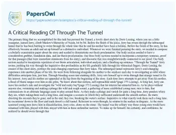 Essay on A Critical Reading of through the Tunnel