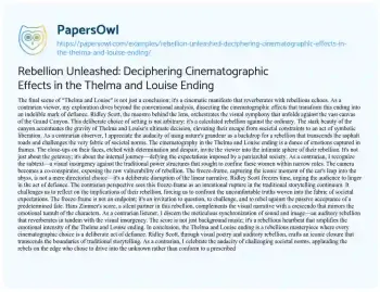 Essay on Rebellion Unleashed: Deciphering Cinematographic Effects in the Thelma and Louise Ending