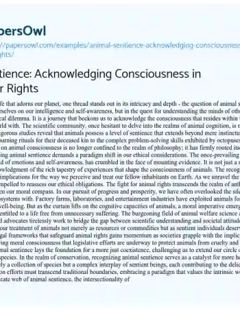 Essay on Animal Sentience: Acknowledging Consciousness in the Fight for Rights