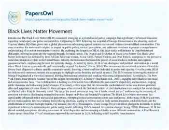 Essay on Black Lives Matter Movement