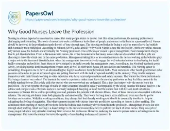 Essay on Why Good Nurses Leave the Profession