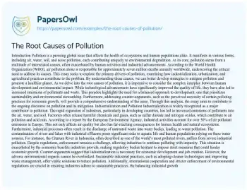 Essay on The Root Causes of Pollution