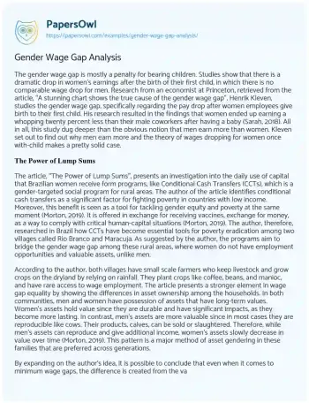 Essay on Gender Wage Gap Analysis