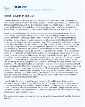 Essay on Plastic Pollution in the USA