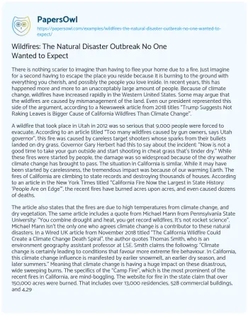 Essay on Wildfires: the Natural Disaster Outbreak no One Wanted to Expect