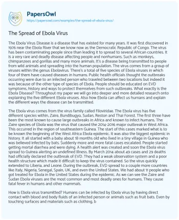 Essay on The Spread of Ebola Virus