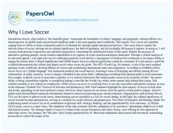 Essay on Why i Love Soccer