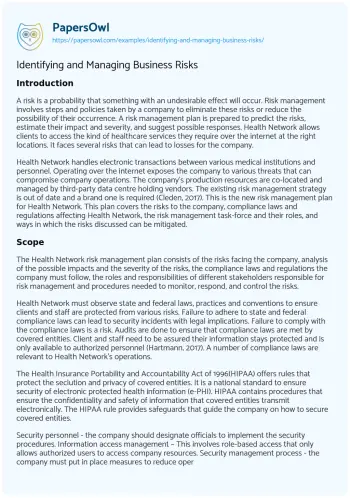 Essay on Identifying and Managing Business Risks