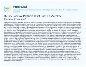 Essay on Dietary Habits of Panthers: what does this Stealthy Predator Consume?