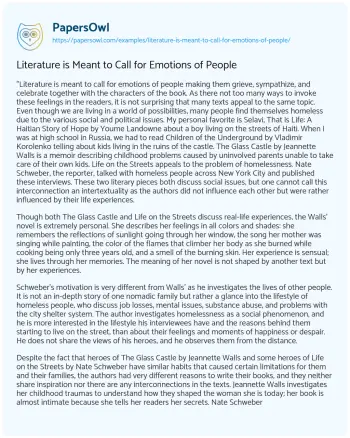 Essay on Literature is Meant to Call for Emotions of People