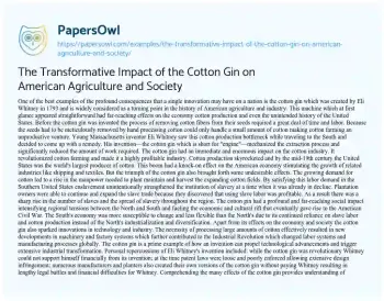 Essay on The Transformative Impact of the Cotton Gin on American Agriculture and Society