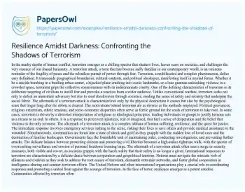 Essay on Resilience Amidst Darkness: Confronting the Shadows of Terrorism