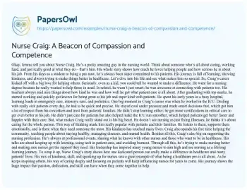 Essay on Nurse Craig: a Beacon of Compassion and Competence