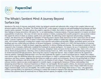 Essay on The Whale’s Sentient Mind: a Journey Beyond Surface Joy