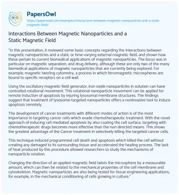 Essay on Interactions between Magnetic Nanoparticles and a Static Magnetic Field