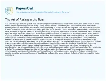 Essay on The Art of Racing in the Rain