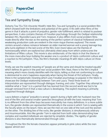 Essay on Tea and Sympathy Essay