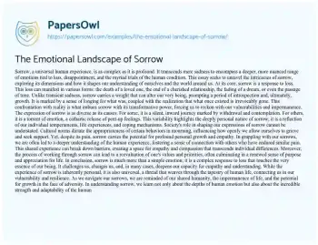 Essay on The Emotional Landscape of Sorrow