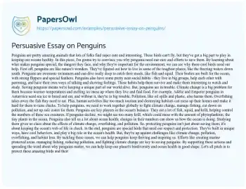 Essay on Persuasive Essay on Penguins