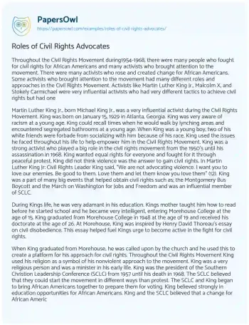 Essay on Roles of Civil Rights Advocates