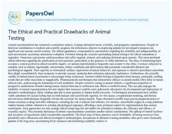 Essay on The Ethical and Practical Drawbacks of Animal Testing